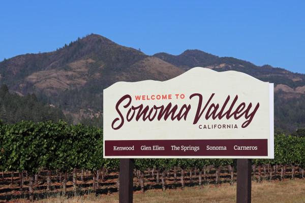 Somoma Valley Limousine Wine Tours